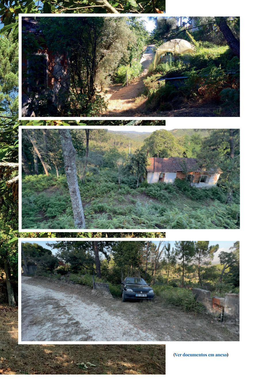 Parede de pedra e teto de madeira — Waiheke House